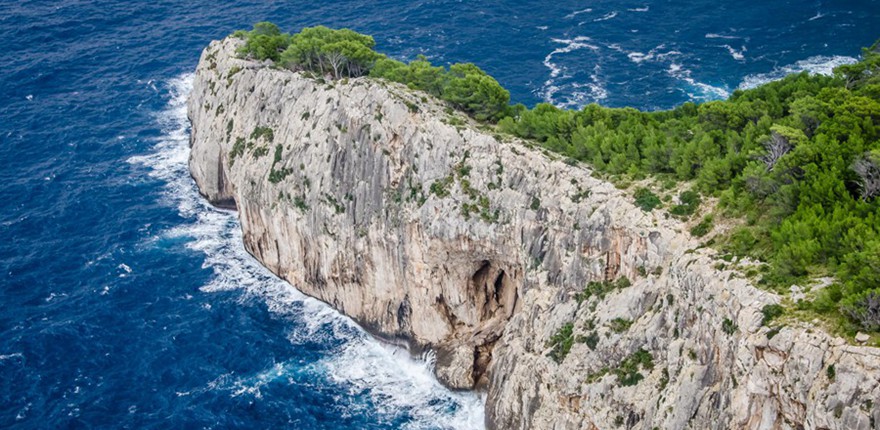 ¡è���������г�֮��-Mallorca���λ��ọ́��ϣ�