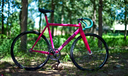 [����Ұ] �̳ݹ������ֳ� ȫ��fixed gear���ѵ�����װ��չʾ